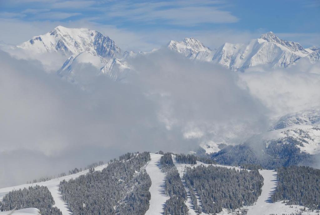 Photo de la galerie de l'établissement Hôtel Chalet Le Caribou, aux Saisies