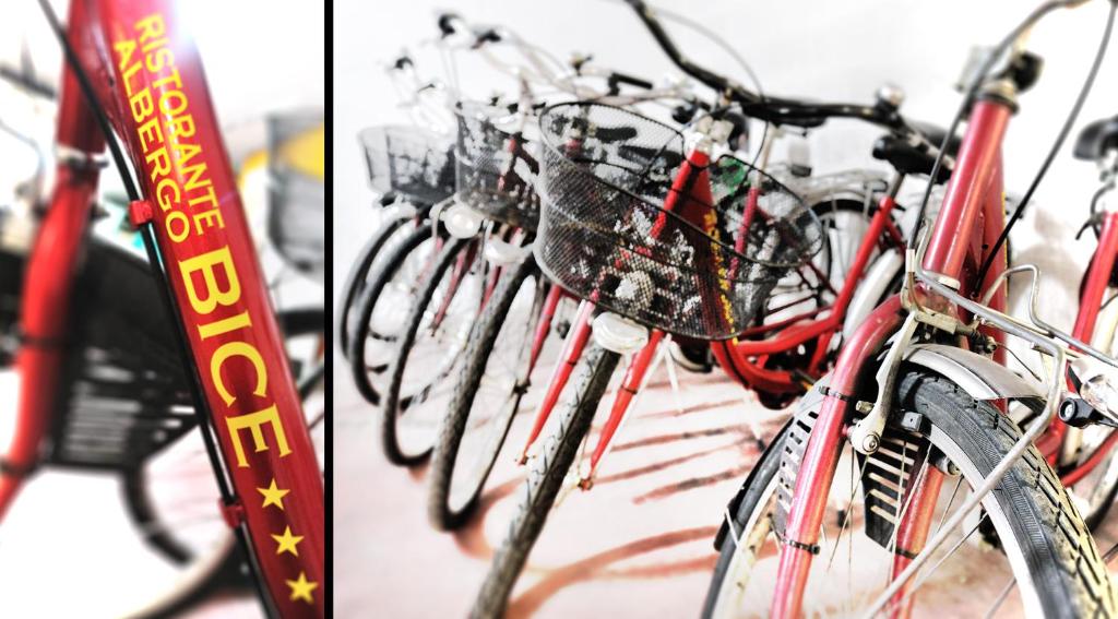 - un groupe de vélos garés l'un à côté de l'autre dans l'établissement Albergo Bice, à Senigallia