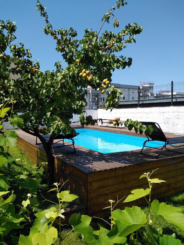 une piscine dans un jardin avec un arbre dans l'établissement Villino Michel, à Torre Annunziata
