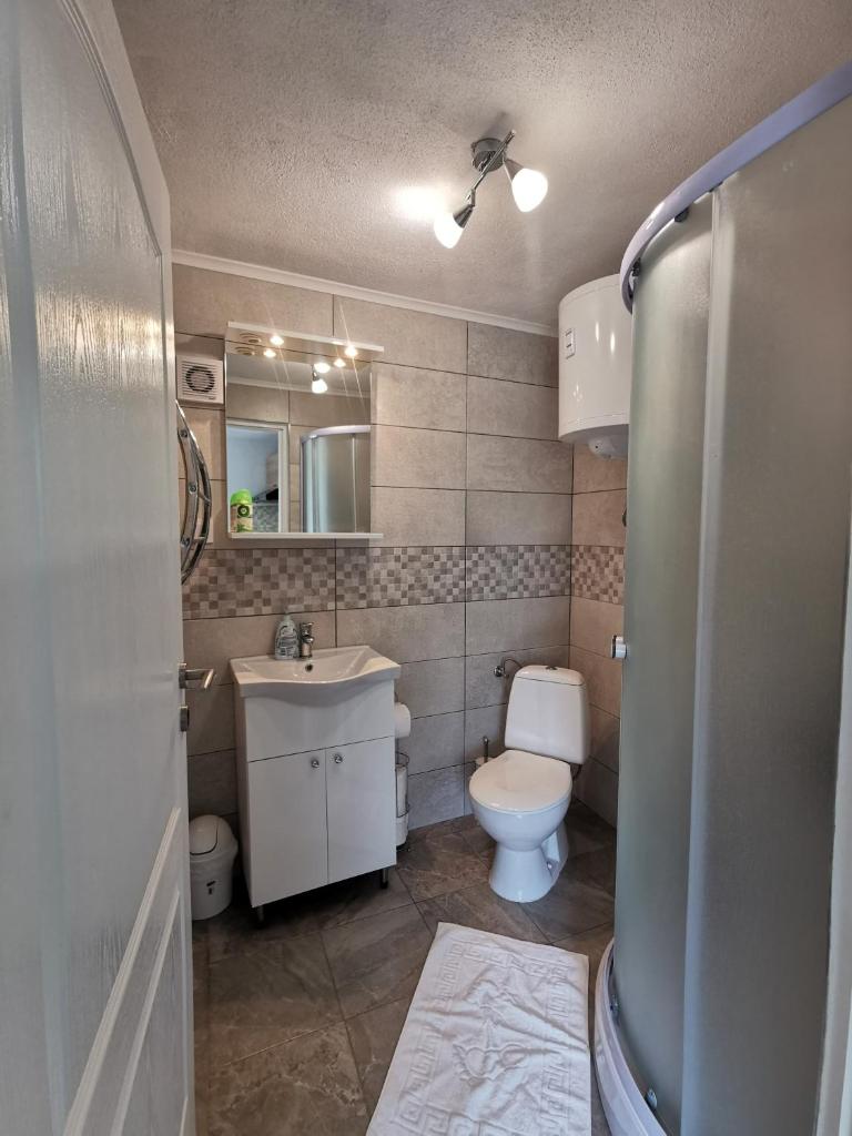 Studio Apartment Mileta 3