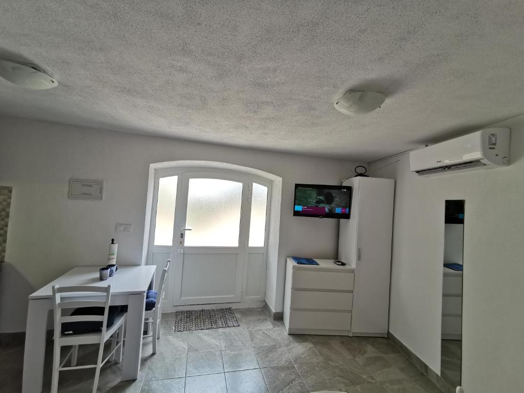 Studio Apartment Mileta 5