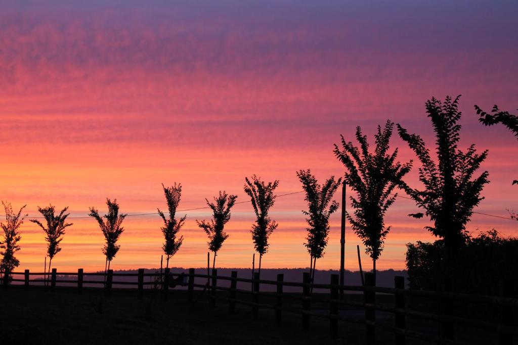une rangée d'arbres devant un coucher de soleil dans l'établissement Roulotte Poulette, à Mortagne-au-Perche