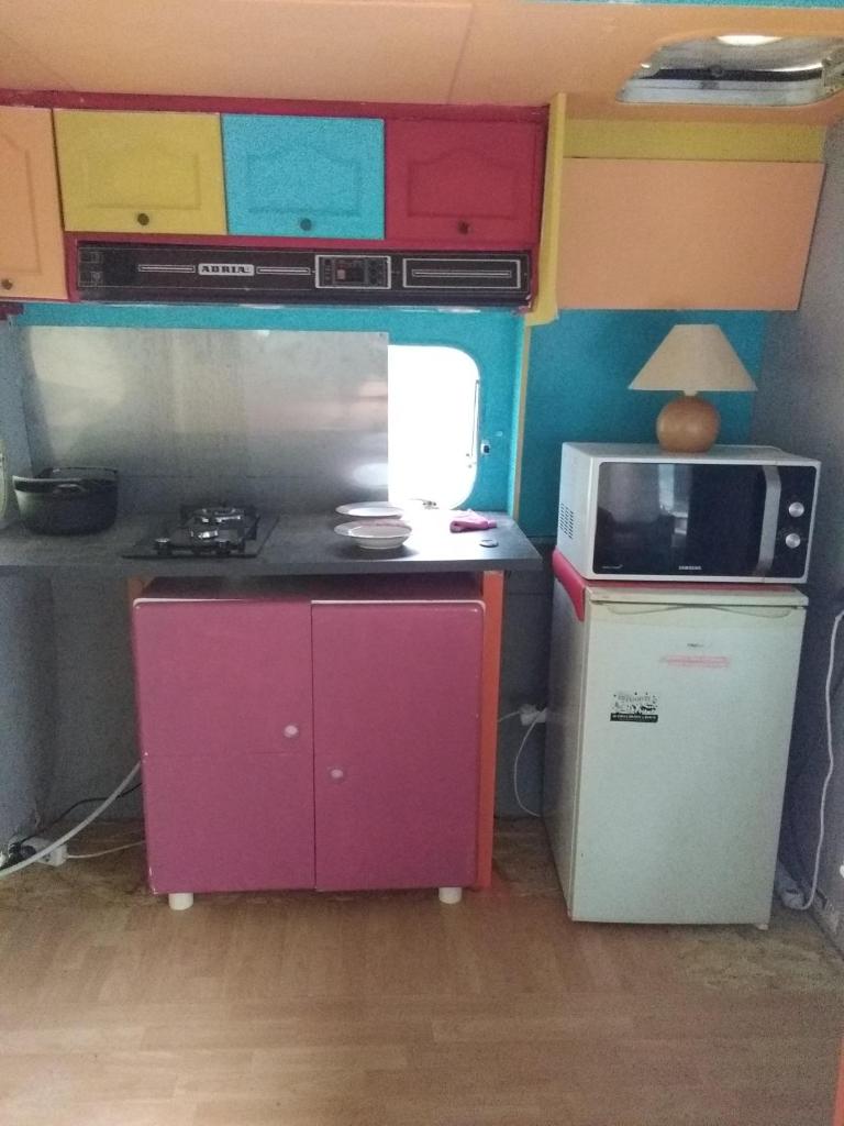 une petite cuisine avec un micro-ondes et un réfrigérateur dans l'établissement Les yourtes de Bascot, à Vaylats