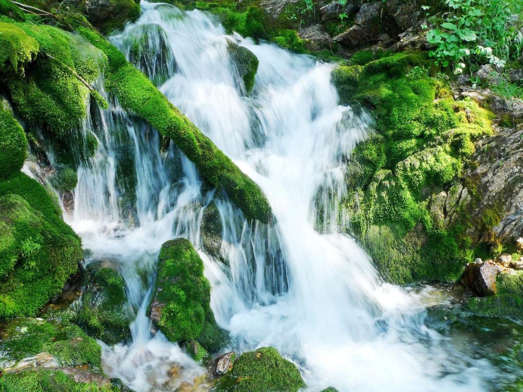 un flux d’eau s’écoulant sur les roches et les mousses dans l'établissement Hôtel Le Christania, à Bellevaux