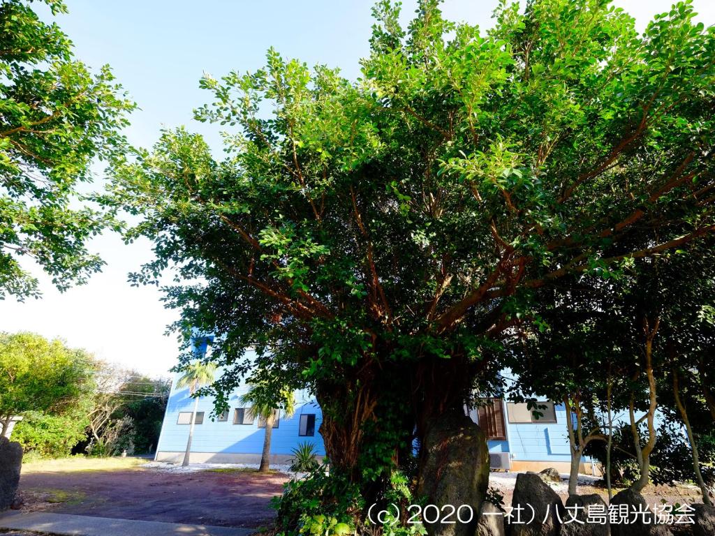 Photo de la galerie de l'établissement Kokumin Shukusha Sun Marina, à Kaminato