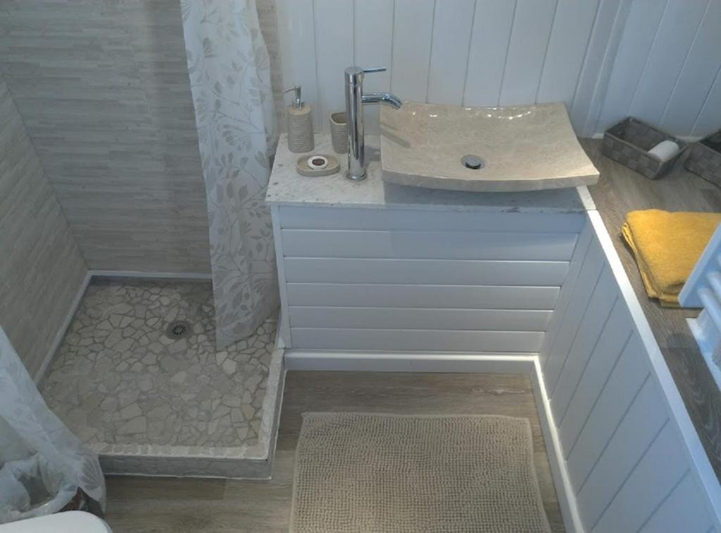 une salle de bain avec un lavabo et une douche dans l'établissement Séjour atypique et insolite sur notre péniche La Coradine avec grand spa, à Aigues-Mortes