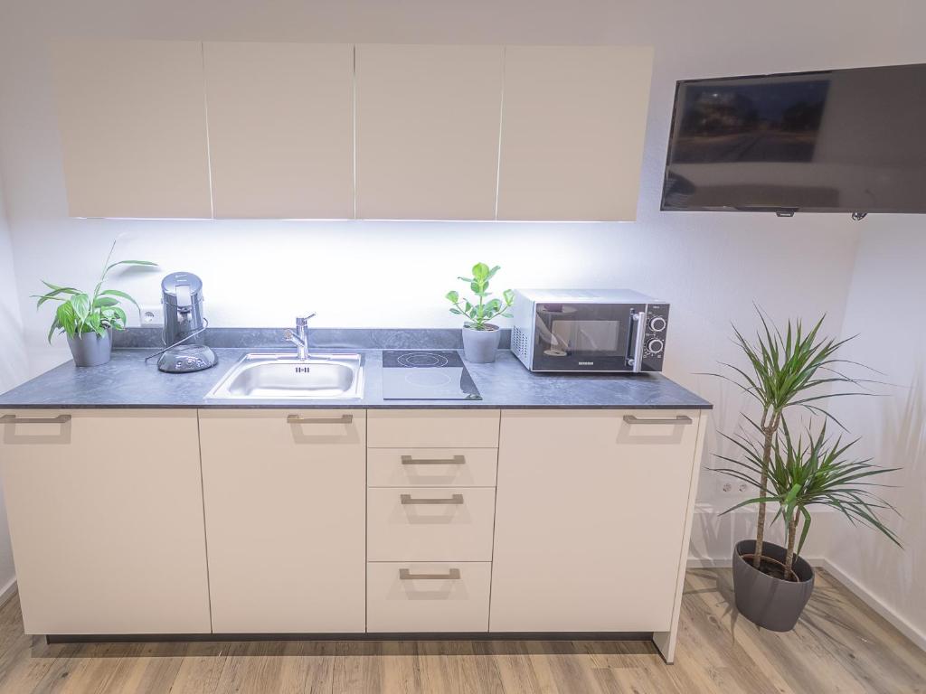 Freiburger-Ferienwohnung 8