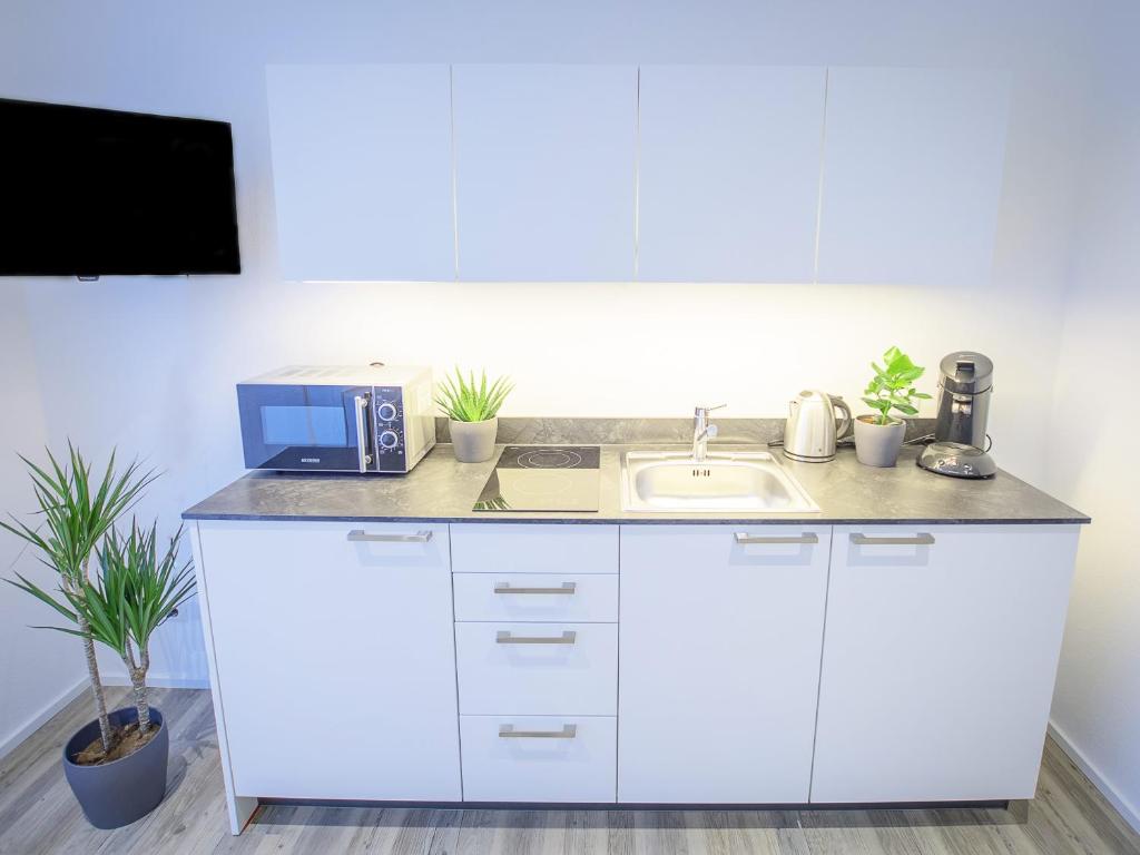 Freiburger-Ferienwohnung 7