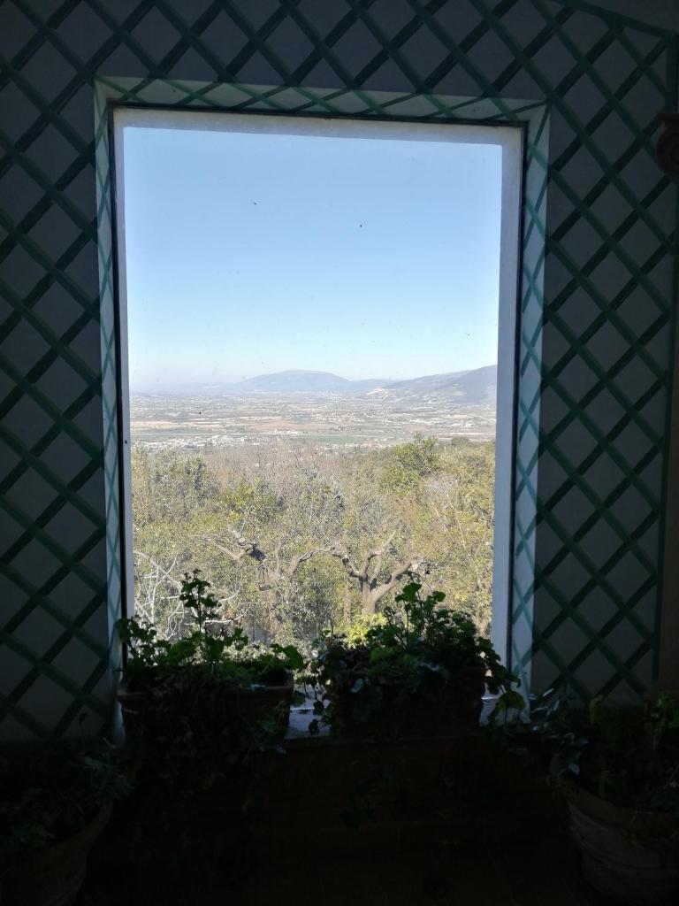 Casa Arezzola 7