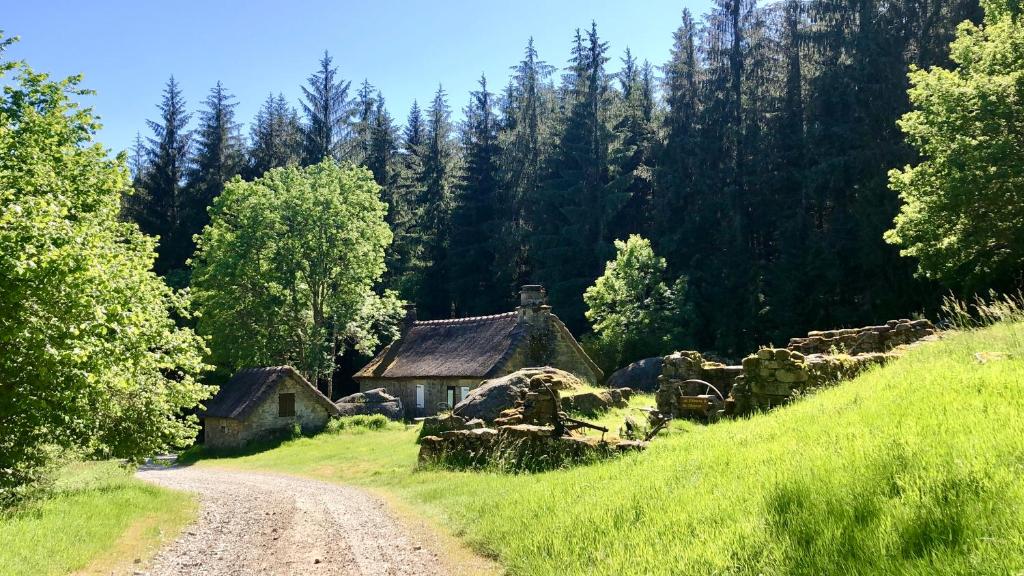 une vieille maison sur le côté d'un chemin de terre dans l'établissement Le Gîte du Lotus Corrézien, à Le Lonzac