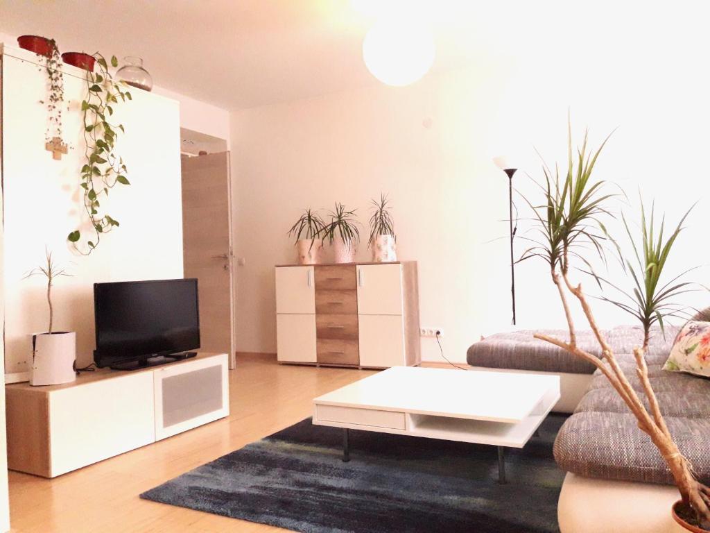 Traumapartment Pöstlingberg, reservierter Parkplatz, 4 Schlafzimmer 5