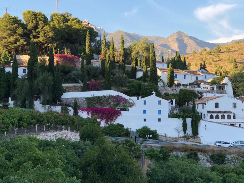 La Casa Turquesa 5