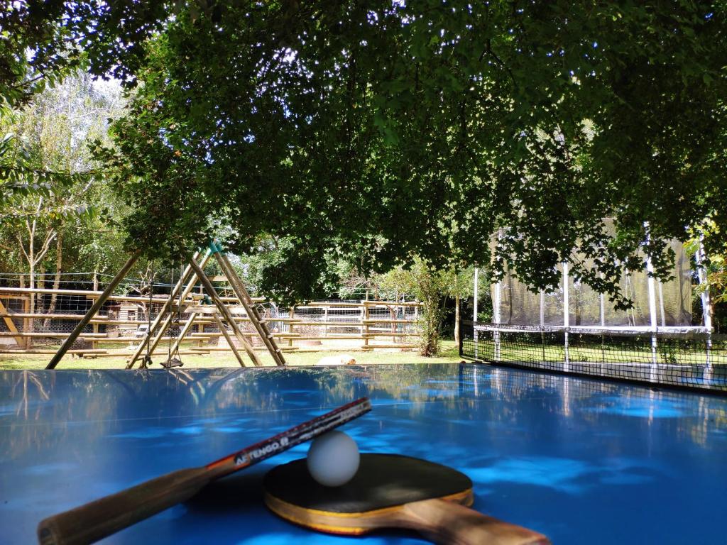 Un chapeau et une batte de baseball et une balle dans l'établissement La Roulotte d'Emilie et son jacuzzi privé, à Beurlay
