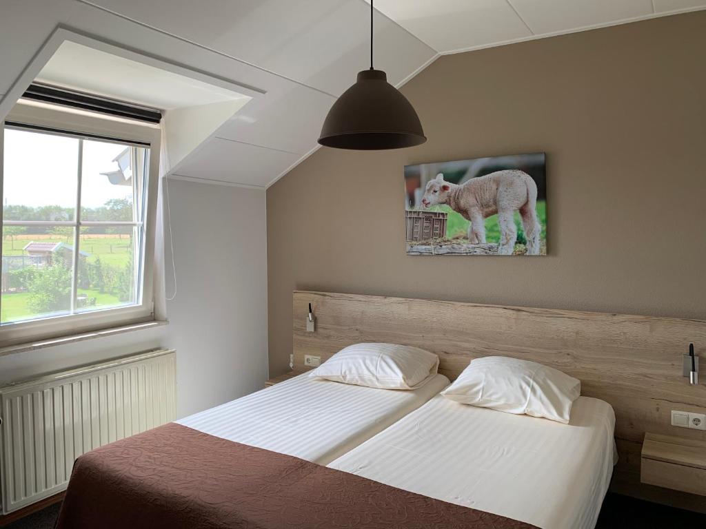 Appartementen De Zegelskoël 8