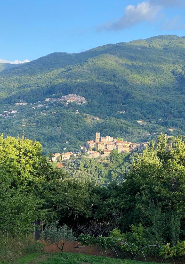Photo de la galerie de l'établissement Villa Pietra Serena, à Vellano