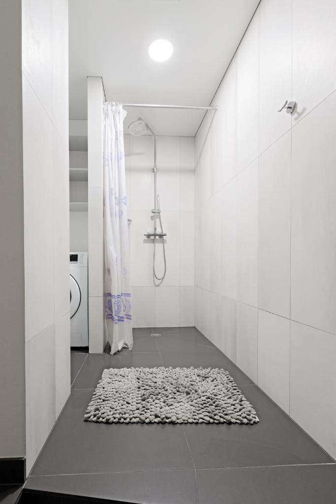 Buddha Luxury Apartment Kaunas city centre 3
