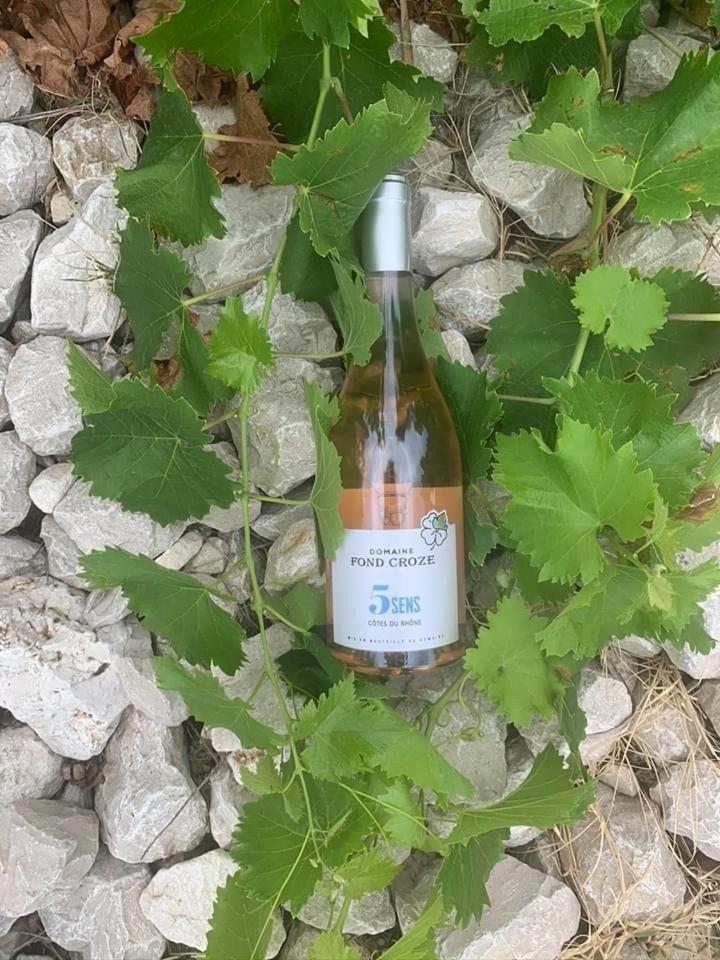 une bouteille de vin assise au-dessus d'une plante dans l'établissement Camping La Montagne, à Sorgues