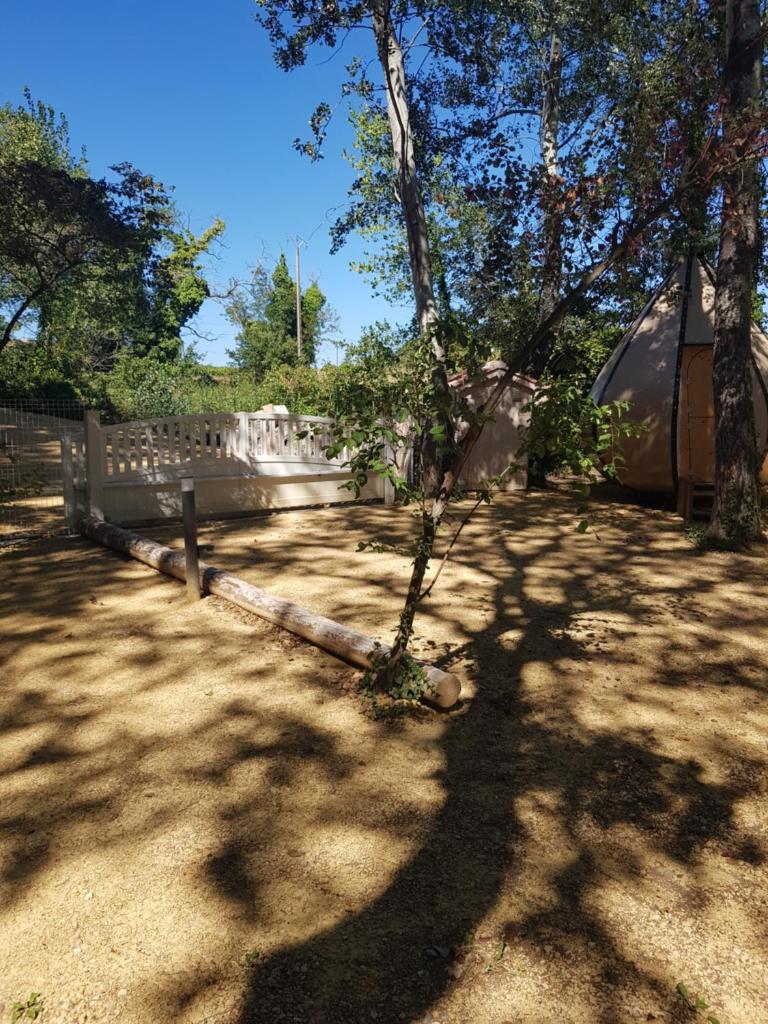 un arbre au milieu d'une cour avec une clôture dans l'établissement nuit étoilée, à Mondragon