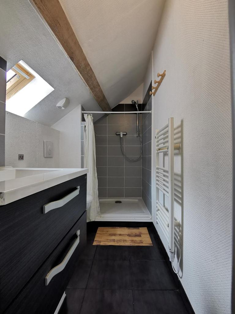 une salle de bain avec douche et lavabo dans l'établissement Valériane, à Cauterets