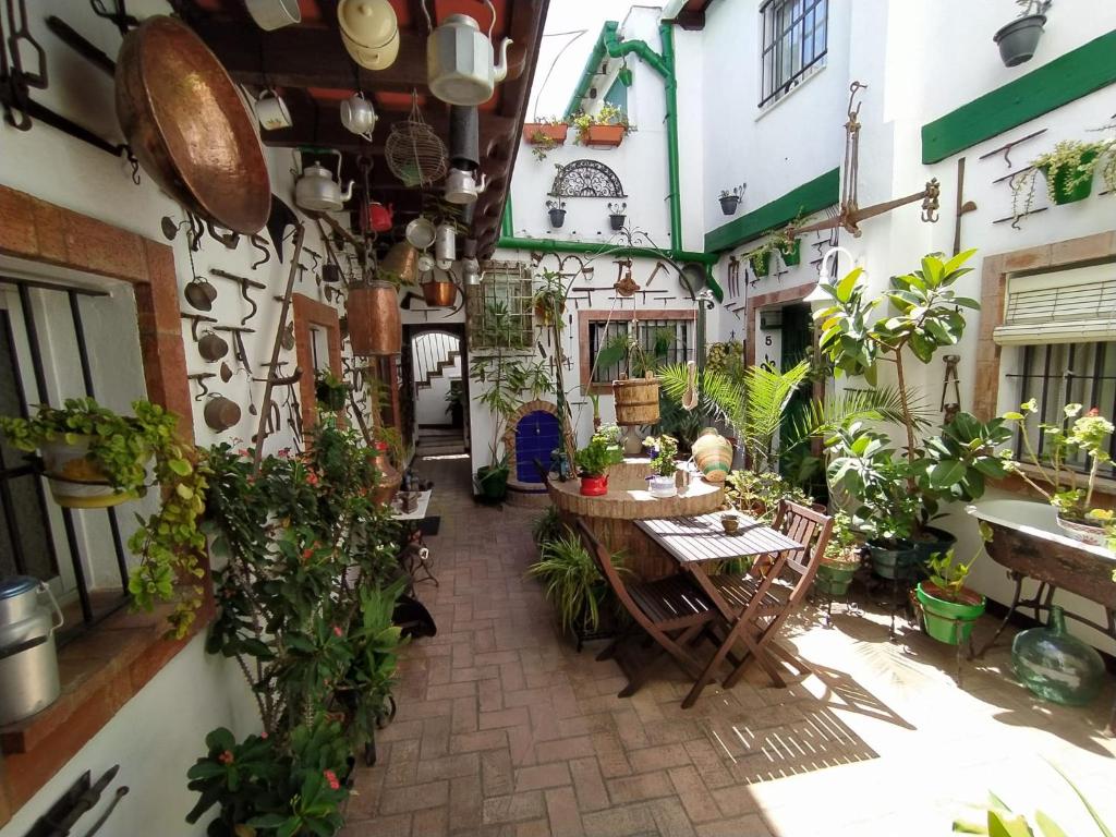 Casa Museo Jerez Centro 8