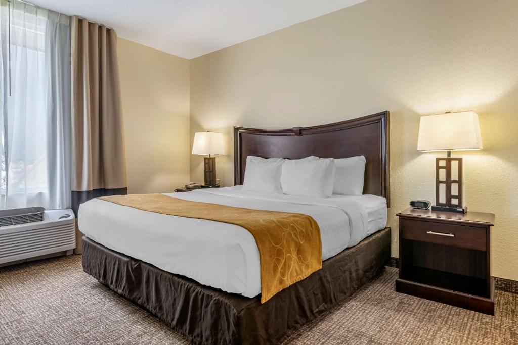 Comfort Suites Maingate East Image