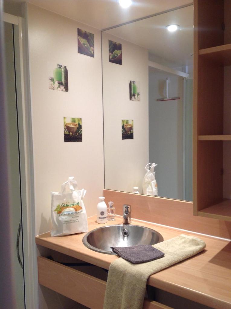 une salle de bain avec un lavabo et un miroir dans l'établissement Camping Le Pont d'Allagnon, à Lempdes-sur-Allagnon