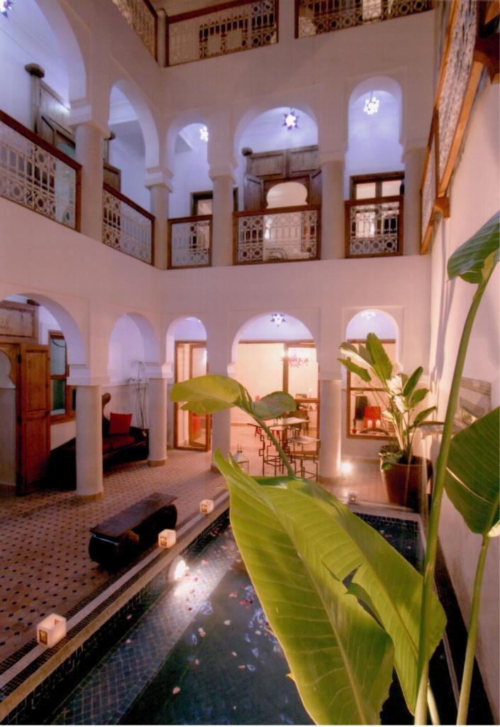 Cette chambre dispose d'une piscine avec une plante. dans l'établissement Riad Chalymar, à Marrakech 37 autres photos