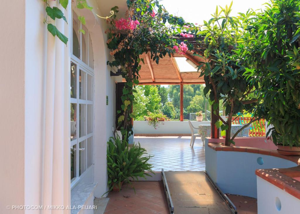 une entrée à une maison ornée de plantes et de fleurs dans l'établissement Centro Ferie Salvatore, à San Felice Circeo 25 autres photos