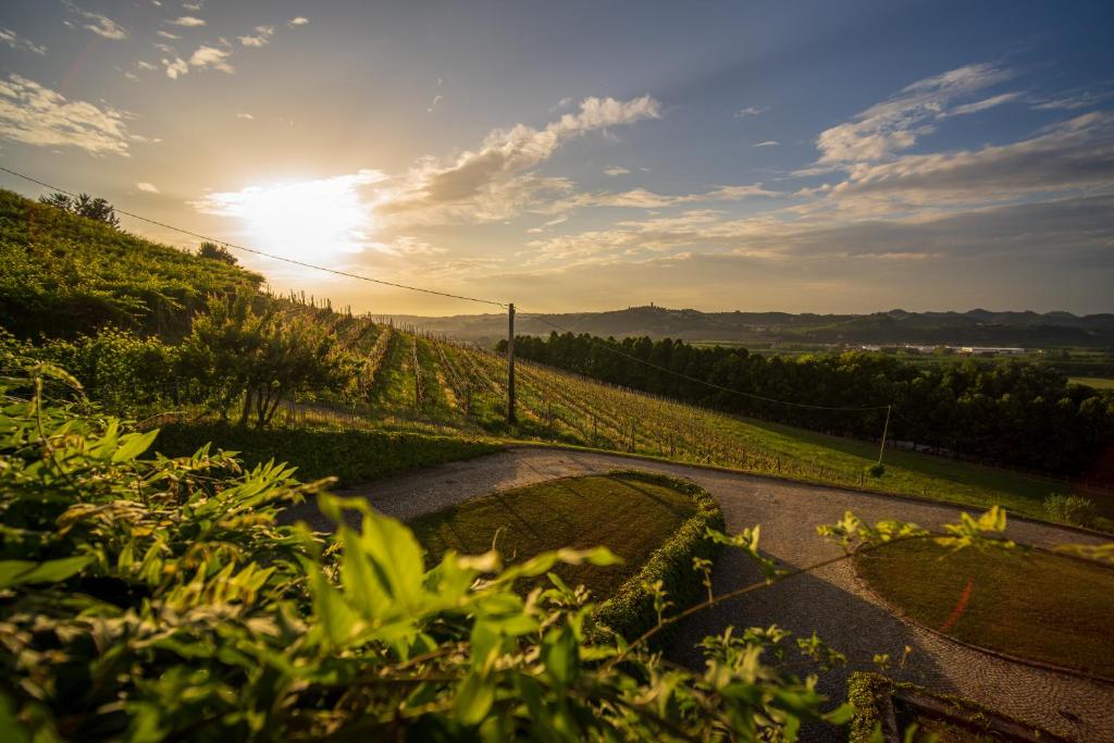 une route sinueuse avec le soleil en arrière-plan dans l'établissement Scarpa Villas - Barolo Luxury Escape, à Verduno