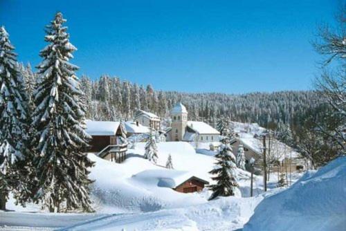 un village enneigé avec des arbres et des bâtiments dans l'établissement Le TETRAS, à Lamoura