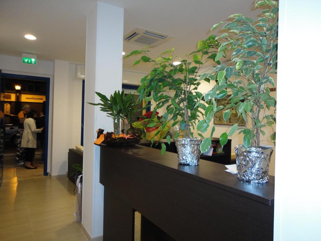 deux plantes en pot posées sur un comptoir dans une pièce dans l'établissement Residence Della Vista, à Rimini