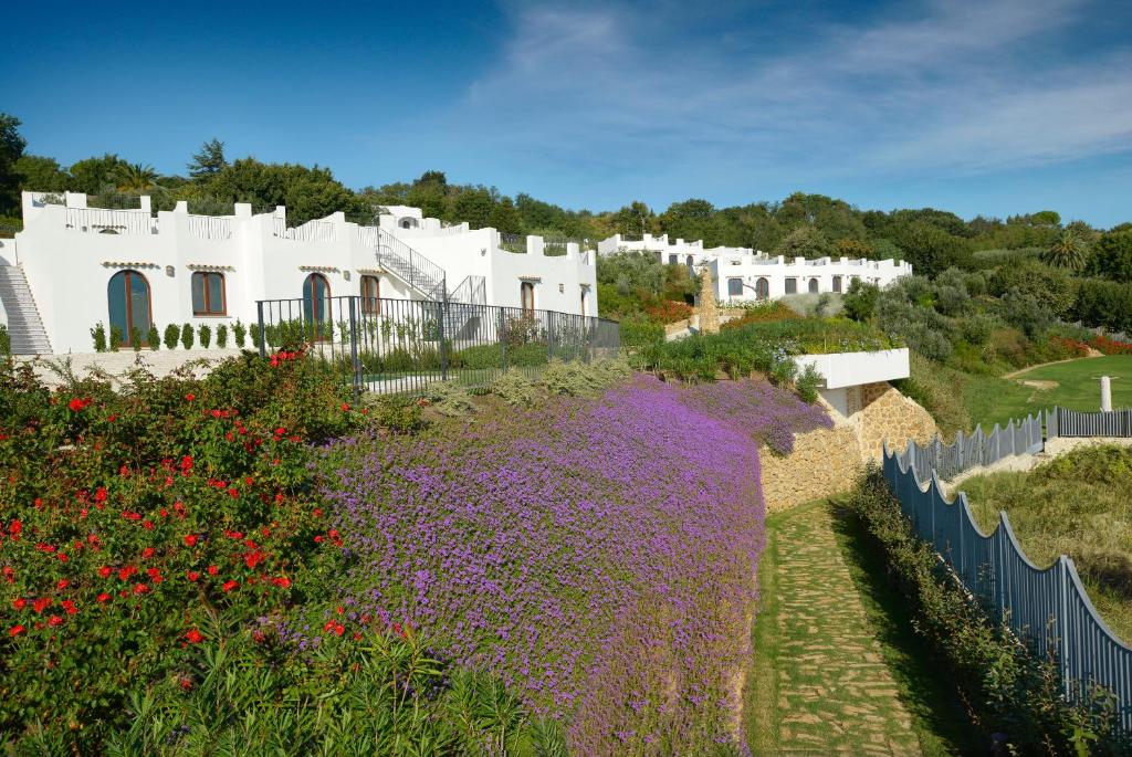 un jardin avec des fleurs violettes devant un bâtiment blanc dans l'établissement Baia Delphis Resort, à Vasto