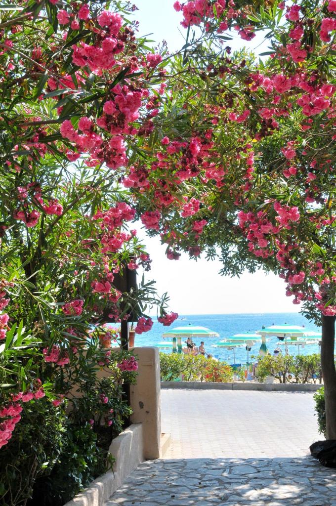 un chemin avec des fleurs roses et l'océan en arrière-plan dans l'établissement Hotel Villa Rodriguez, à Capoliveri