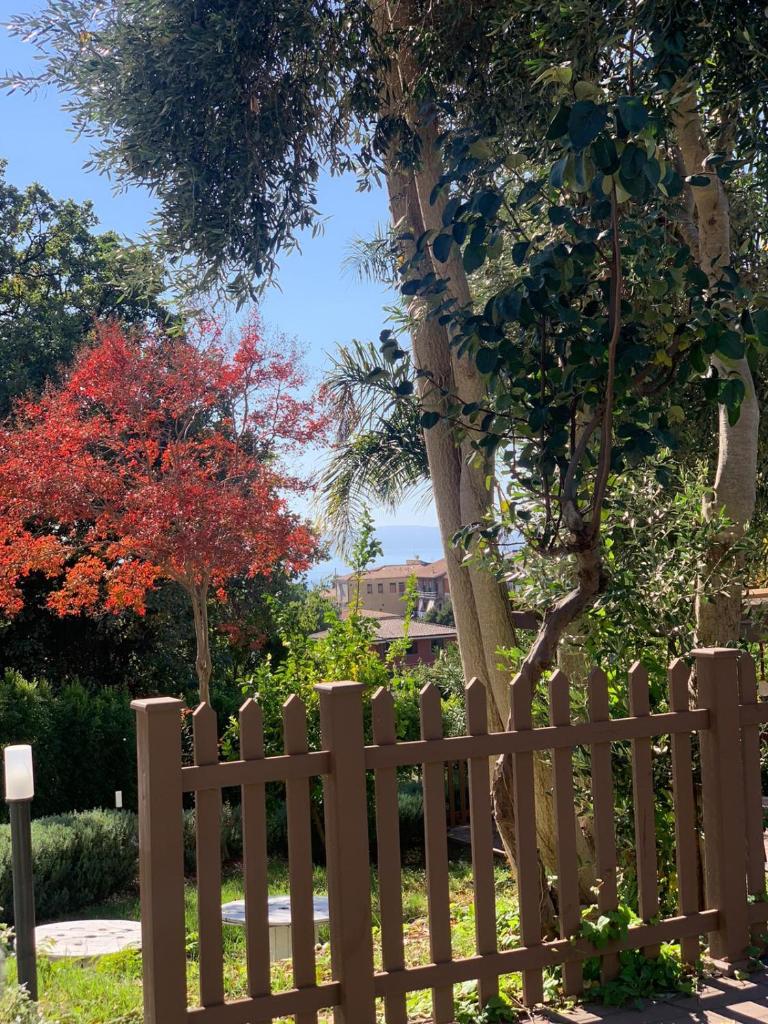 Photo de la galerie de l'établissement Villa Bonanno Conti, à Catane 32 autres photos