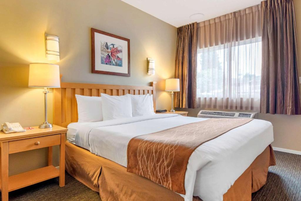 Econo Lodge Inn & Suites Image