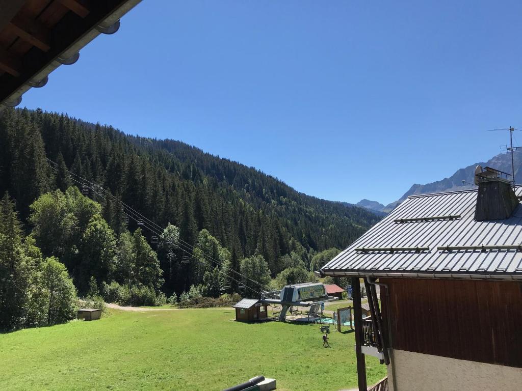 - une vue sur un champ d'herbe avec une montagne dans l'établissement Le Croisse Baulet, à La Giettaz