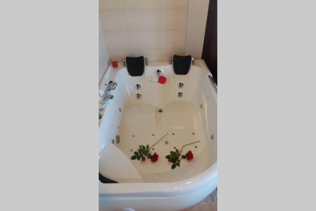 Lagar I con JACUZZI 3
