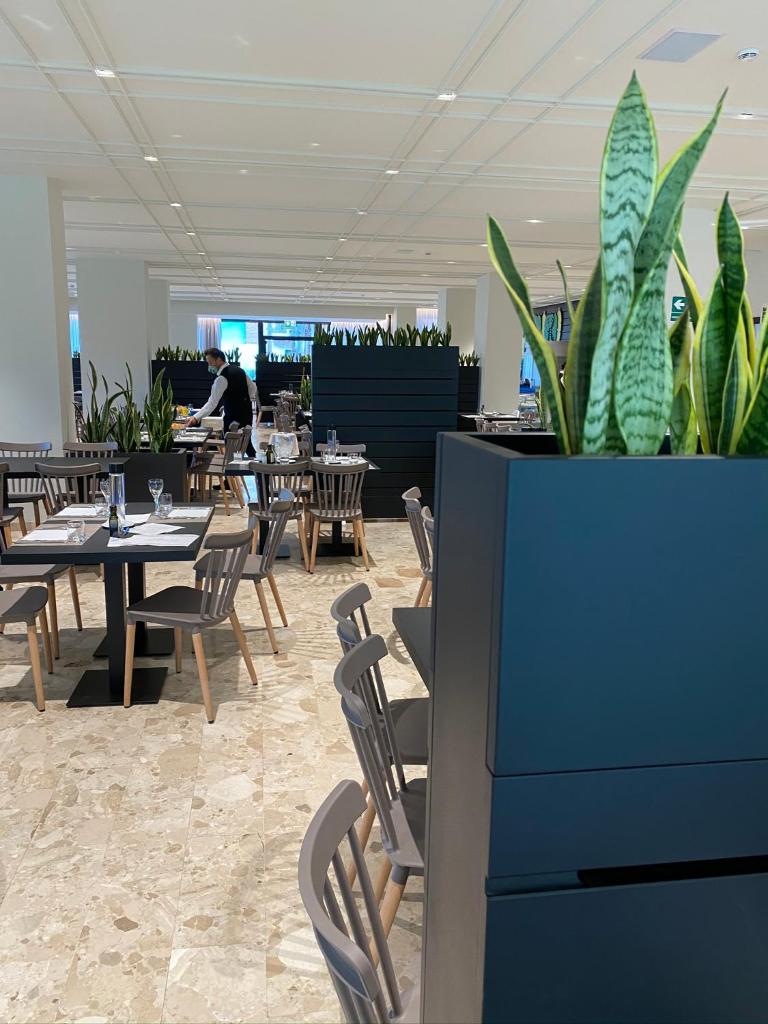 un restaurant avec des tables et des chaises et une plante en pot dans l'établissement Hotel Relax Family & Spa, à San Benedetto del Tronto