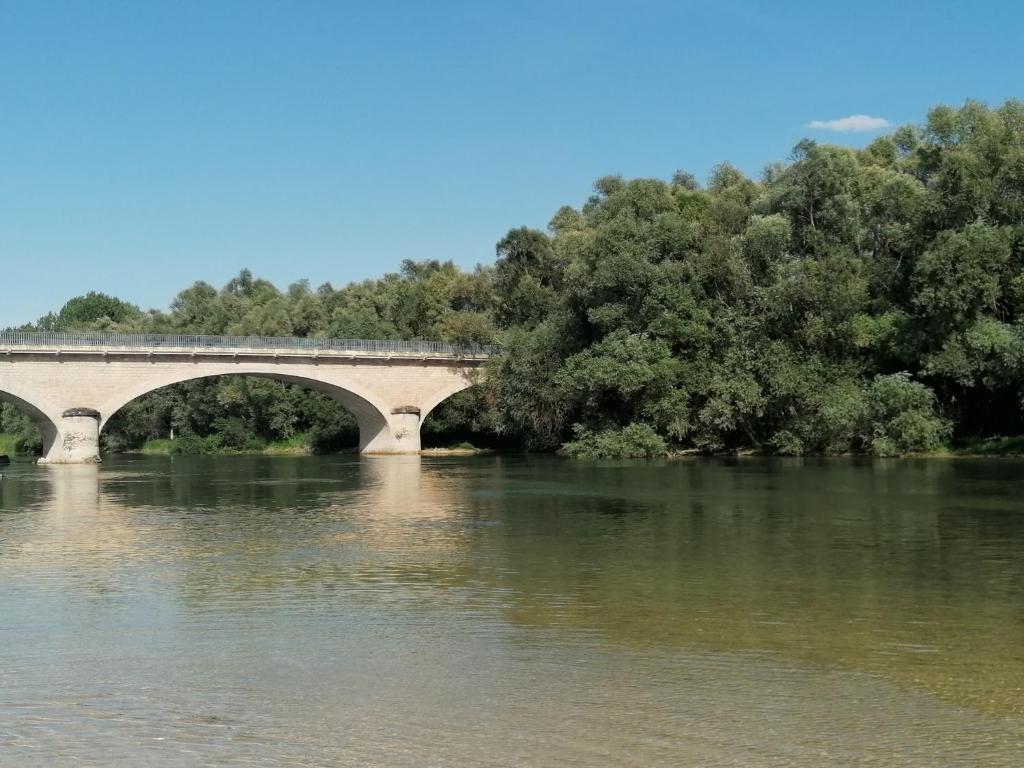 un pont sur une rivière avec de l'eau et des arbres dans l'établissement La Gare de Lurey Conflans gîte et hébergements insolites en Champagne, à Esclavolles-Lurey 21 autres photos