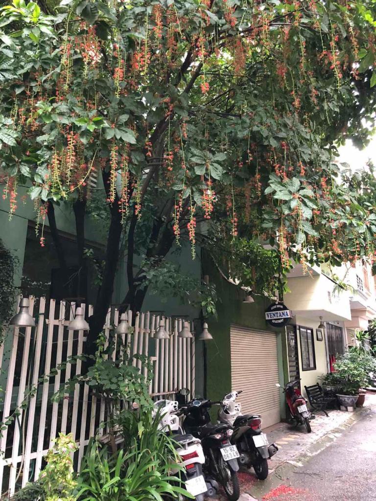 La ventana mordern house