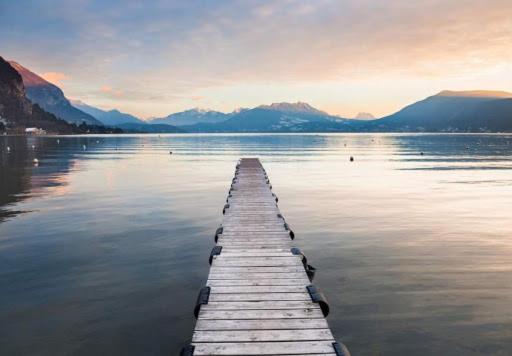 ROSE DU LAC 7