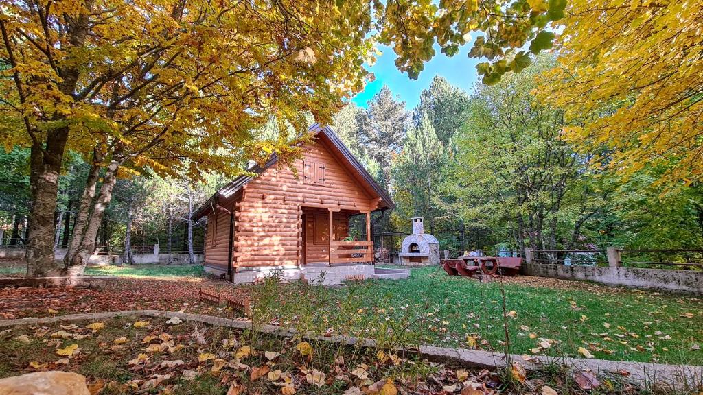 Cabin House Hidden Nest 8