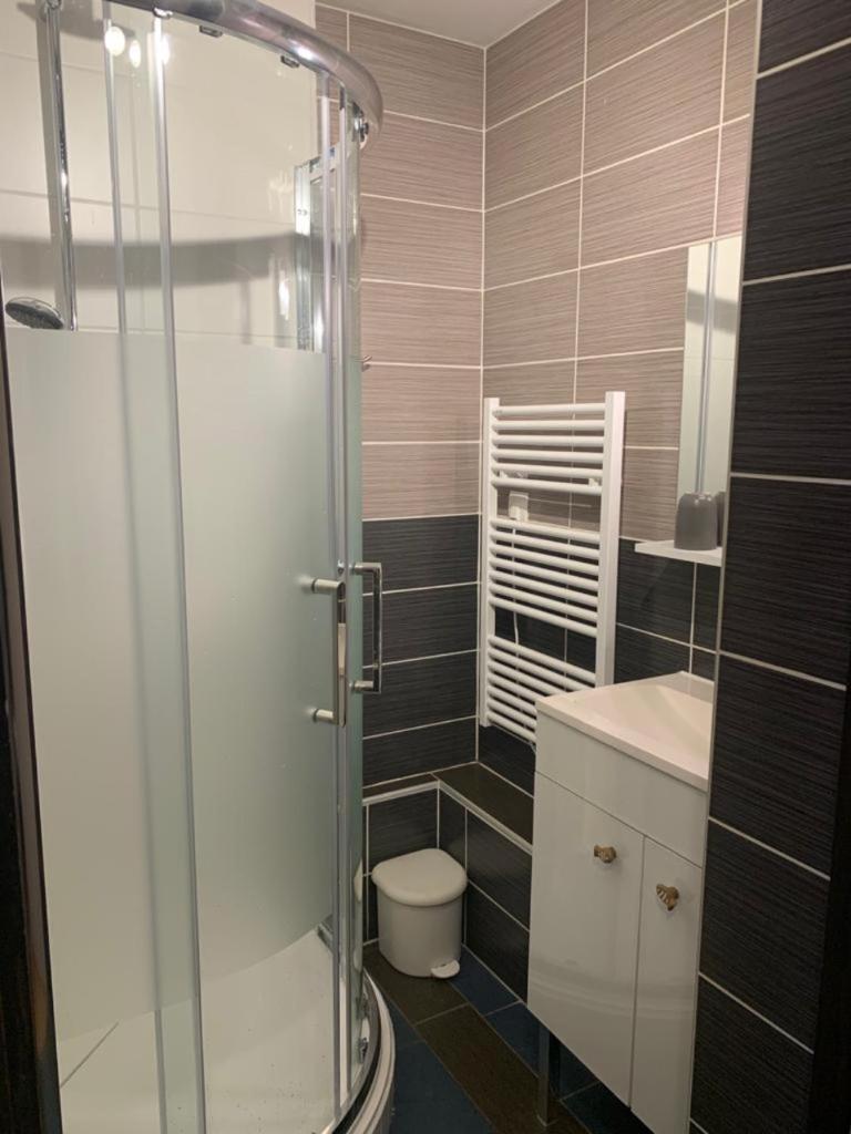 une salle de bain avec une douche, des toilettes et un lavabo dans l'établissement Kandahar 202 - Les Deux Alpes- Plein centre-station, 32m2, à Les Deux Alpes
