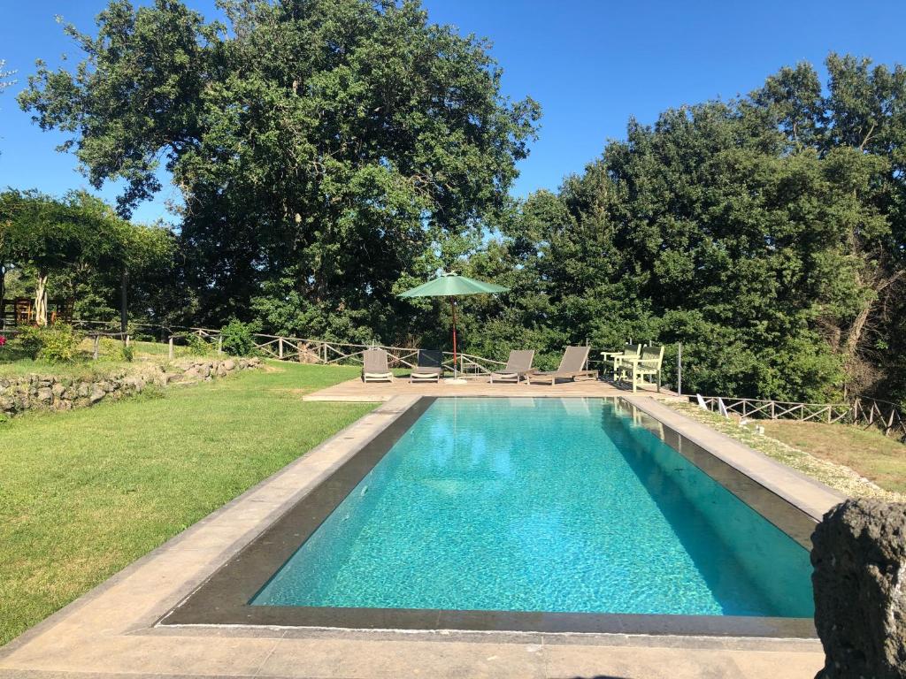 - une piscine dans une cour avec des chaises et un parasol dans l'établissement podere campanella, à Viterbe
