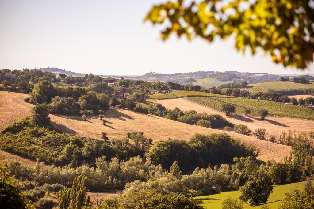 Residenza La Canonica Relais - Historic Country House & Pool 7