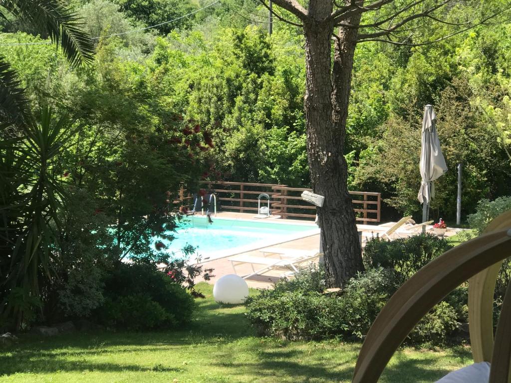 une piscine dans un jardin avec un arbre dans l'établissement Dimorra Country House, à Castelvenere