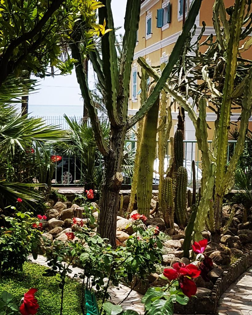 un jardin avec des cactus et des fleurs devant un bâtiment dans l'établissement Hotel Villa Sophia, à Sanremo