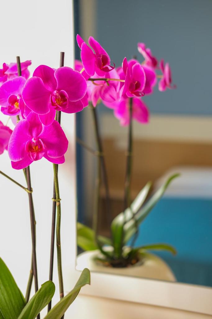 un groupe de fleurs roses dans un vase sur une table dans l'établissement Ticho's Greenblu Hotel, à Castellaneta Marina