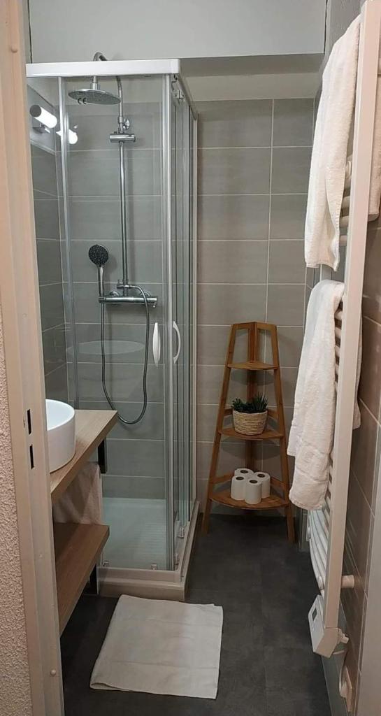 une salle de bain avec une douche en verre et un lavabo dans l'établissement Cocon d'altitude - Studio avec vue sur les pistes, aux Orres