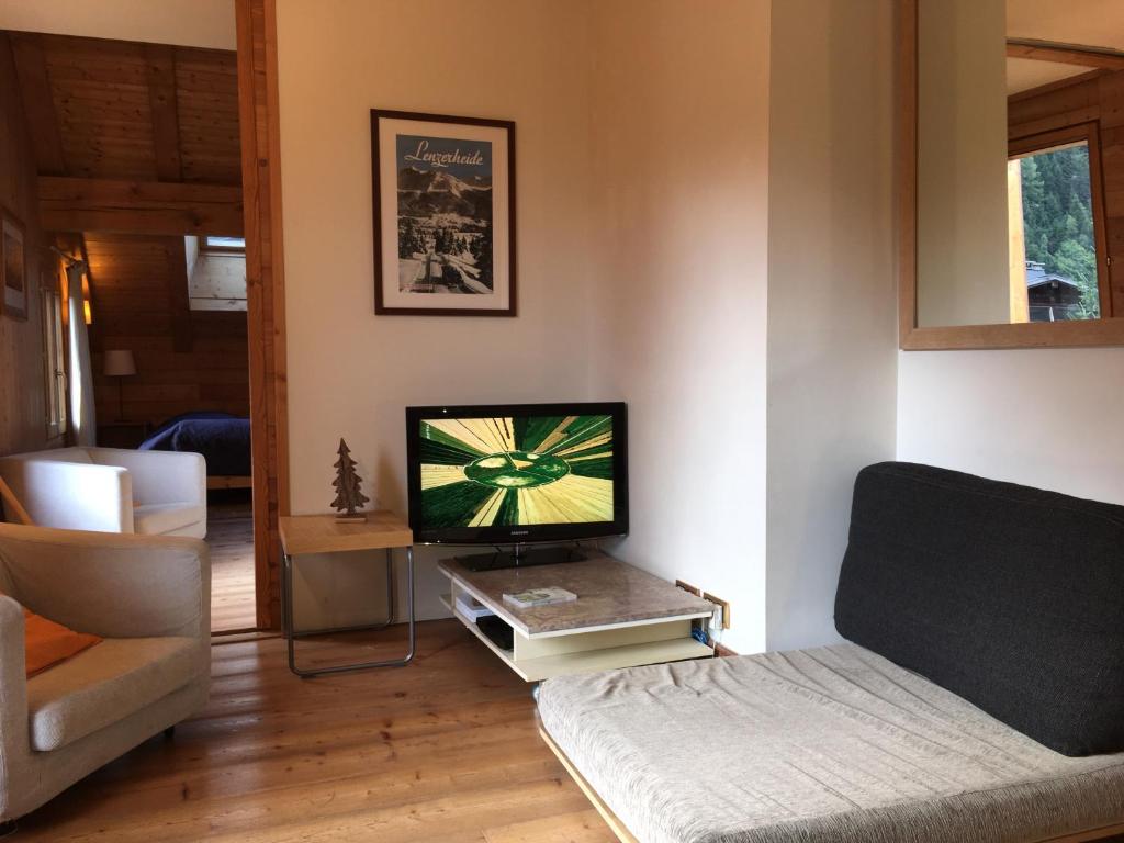 un salon avec une télévision et un canapé dans l'établissement Appartement Arolles, à Chamonix-Mont-Blanc